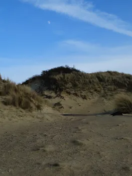 Oostnieuwkerke duinen wandeling in de koude (België)